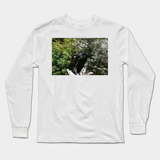 Eagle In Flight Long Sleeve T-Shirt by GP1746